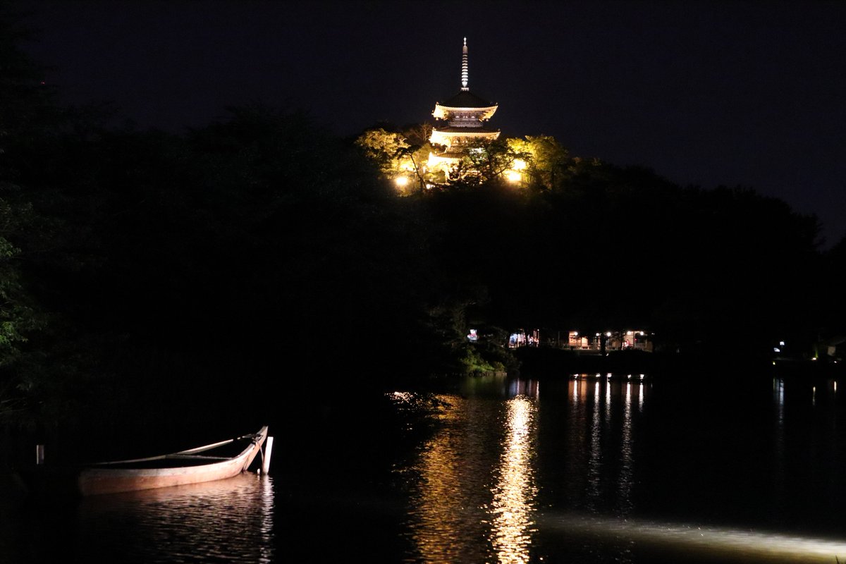 横浜三渓園・蛍の夕べの時の大池と三重塔の夜景