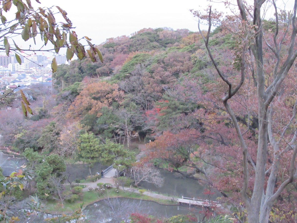 横浜三渓園・池と紅葉