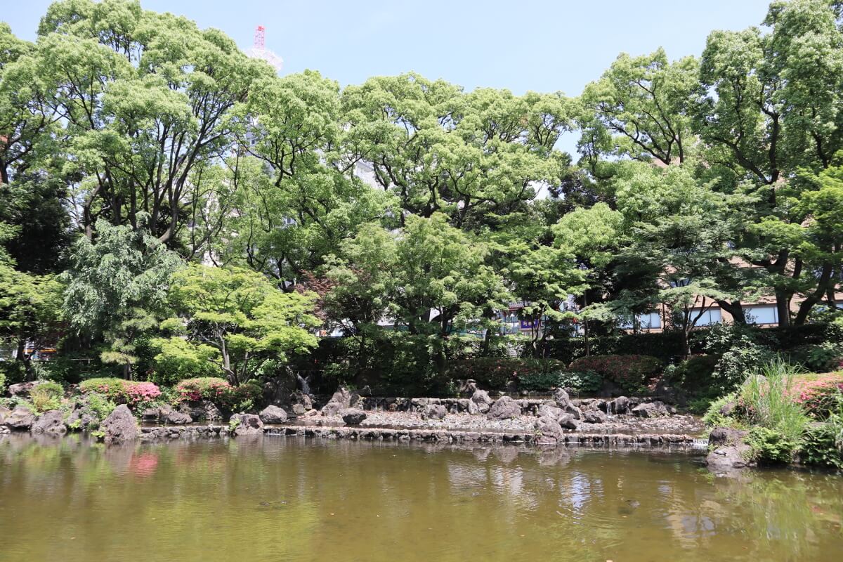 横浜公園・日本庭園・池-1